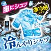 「アイスノン シャツミスト STRONG COOL 100mL 白元アース」の商品サムネイル画像4枚目