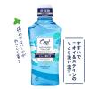 「マウスウォッシュ 口臭ケア サンスター Ora2 オーラツー ミー 洗口液 ステインクリア ナチュラルミント ノンアルコール 低刺激 460ml」の商品サムネイル画像2枚目