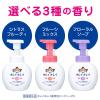 「【500ml大型ボトル】キレイキレイ 薬用 ハンドソープ 泡 シトラスフルーティの香り 本体500ml 殺菌 保湿 ライオン【泡タイプ】」の商品サムネイル画像6枚目