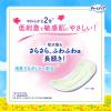 「大容量 吸水ナプキン チャームナップ 吸水さらフィ ふんわり肌 中量用 50cc 無香料 羽なし 23cm 1パック（36枚入）」の商品サムネイル画像3枚目