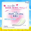 「大容量 吸水ナプキン チャームナップ 吸水さらフィ ふんわり肌 少量用 15cc 無香料 羽なし 19cm 1パック（64枚入）」の商品サムネイル画像3枚目