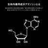 「アデノゲン 薬用スカルプトニック 資生堂」の商品サムネイル画像3枚目