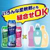 「【数量限定！全部試せるセット】レノア本格消臭 衣類の消臭専用 デオドラントビーズ お試し本体 165mL×3種 1セット P＆G」の商品サムネイル画像6枚目