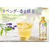 「（セール）ポッカサッポロ 富良野ラベンダーティー 500ml 1箱（24本入）」の商品サムネイル画像4枚目
