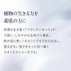 「ニールズヤード レメディーズ フランキンセンス ナリシングクリーム（保湿用クリーム） 50g」の商品サムネイル画像3枚目