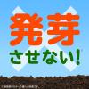 「除草剤 液体 雑草対策 草取り 庭 園芸 アースガーデン おうちの草コロリ 詰め替え用 1.7L 1セット（3個入） アース製薬」の商品サムネイル画像4枚目