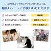 「ビオレu 泡ハンドソープ マイルドシトラスの香り 業務用2L 1箱（3個入） 【泡タイプ】 花王」の商品サムネイル画像8枚目