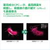 「ガム デンタルペースト 120g 1セット（2本） サンスター GUM  歯磨き粉 原因菌を殺菌・除去 歯周病予防 口臭防止 フッ素 虫歯」の商品サムネイル画像3枚目