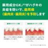 「歯磨き粉 ガム デンタルペースト 120g 1セット（2本）サンスター GUM 歯周病予防 口臭防止 高濃度フッ素 虫歯予防」の商品サムネイル画像5枚目