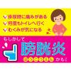 「腎仙散 21包 摩耶堂製薬　生薬製剤 膀胱炎 むくみ 腎炎【第2類医薬品】」の商品サムネイル画像3枚目