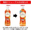 「伊藤園 ヘルシールイボスティー 600ml 1セット（6本） お茶 カフェインゼロ ノンカフェイン」の商品サムネイル画像3枚目