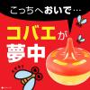「コバエ取り 対策 捕獲器 コバエがホイホイ 1パック（2個入） 置き型 キッチン 厨房 アース製薬」の商品サムネイル画像2枚目