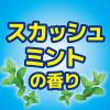 「【アウトレット】キンチョー コバエコナーズ ゴミ箱用 1個 スカッシュミントの香り 腐敗抑制プラス 大日本除虫菊」の商品サムネイル画像6枚目