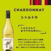 「（SALE）オーストラリア　イエローテイル シャルドネ 白ワイン やや辛口  750ml  1本　サッポロ」の商品サムネイル画像3枚目