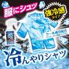 「アイスノン シャツミスト STRONG COOL 大容量 300mL 白元アース」の商品サムネイル画像3枚目