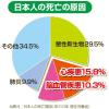 「ヘルスオイル 180カプセル ピップ　動脈硬化症の予防 高コレステロール血症の改善【第3類医薬品】」の商品サムネイル画像7枚目