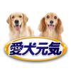 「愛犬元気 お肉たっぷり 13歳以上用 ビーフ・緑黄色野菜入り 375g 12缶 ドッグフード 犬 ウェット 缶詰」の商品サムネイル画像2枚目