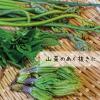 「住まいの魔法のパウダー 重曹 600g 詰め替え 1セット（2袋）丹羽久」の商品サムネイル画像3枚目
