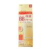 「フレッシェル スキンケアBBクリーム（モイスト） NB（自然になじむ肌の色） 50g SPF28・PA++ Kanebo（カネボウ）」の商品サムネイル画像1枚目