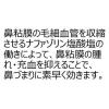 「ビタトレール 鼻炎スプレー 30ml タカミツ ★控除★ 点鼻薬 アレルギー性鼻炎 急性鼻炎 鼻みず 鼻づまり【第2類医薬品】」の商品サムネイル画像5枚目