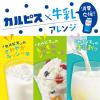 「カルピス 糖質６０％オフ＜希釈用＞ プラスチックボトル 470ml 1本」の商品サムネイル画像2枚目