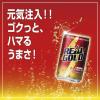 「コカ・コーラ　リアルゴールド　160ml　9504　1箱（30缶入）」の商品サムネイル画像6枚目