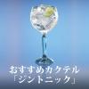 「ボンベイ・サファイアジン 750ml 1本 ジン　正規品」の商品サムネイル画像3枚目