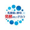 「カルピス カルピスウォーター 500ml 1セット（6本）」の商品サムネイル画像3枚目