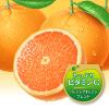 「アサヒ飲料 ウェルチオレンジ100 800g 1セット（2本）」の商品サムネイル画像6枚目