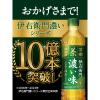 「【機能性表示食品】サントリー 伊右衛門 濃い味 2L 1セット（3本）」の商品サムネイル画像6枚目