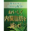 「【機能性表示食品】サントリー 伊右衛門 濃い味 2L 1セット（3本）」の商品サムネイル画像7枚目