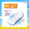 「大容量 吸水ナプキン チャームナップ 吸水さらフィ 多くても安心用 100cc 羽なし 29cm 1セット（20枚×3パック）ユニ・チャーム」の商品サムネイル画像3枚目