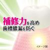「歯磨き粉 ひきしめ生葉（しょうよう） 歯槽膿漏を防ぐ 薬用ハミガキ ハーブミント味 100g 小林製薬」の商品サムネイル画像2枚目