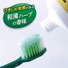 「歯磨き粉 ひきしめ生葉（しょうよう） 歯槽膿漏を防ぐ 薬用ハミガキ ハーブミント味 100g 小林製薬」の商品サムネイル画像5枚目