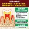 「歯磨き粉 生葉（しょうよう） 歯槽膿漏を防ぐ 薬用ハミガキ ハーブミント味 100g 小林製薬」の商品サムネイル画像4枚目