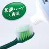 「歯磨き粉 生葉（しょうよう） 歯槽膿漏を防ぐ 薬用ハミガキ ハーブミント味 100g 小林製薬」の商品サムネイル画像7枚目