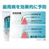「システマ ハンディセット（携帯用ハミガキ・ハブラシセット） ライオン トラベル用 持ち運び」の商品サムネイル画像3枚目