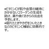 「ハイシー1000 24包 しみ　そばかす　日やけ・かぶれ色素沈着の緩和　歯ぐきからの出血　鼻出血　アスコルビン酸ナトリウム配合　水なし【第3類医薬品】」の商品サムネイル画像6枚目