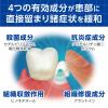 「デントヘルスR 10g ライオン　塗り薬 歯槽膿漏薬 歯茎の腫れ・痛み・出血に【第3類医薬品】」の商品サムネイル画像7枚目