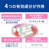 「デントヘルスBb 45g ライオン　歯槽膿漏薬　歯ぐきの発赤・腫れ・うみ 口臭【第3類医薬品】」の商品サムネイル画像4枚目