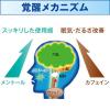 「トメルミン 12錠 ライオン　水なしで飲める 眠気止め薬 眠気防止薬【第3類医薬品】」の商品サムネイル画像6枚目