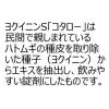 「ヨクイニンS「コタロー」 240錠 小太郎漢方製薬　飲み薬 肌あれ いぼ【第3類医薬品】」の商品サムネイル画像3枚目