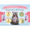 「手ピカジェル 300ml 753 健栄製薬」の商品サムネイル画像2枚目