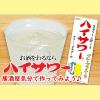 「ハイサワー グレープフルーツ 博水社 1000ml ペット 1箱（15本）」の商品サムネイル画像6枚目