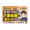 「ストレージタイプG 12包  アリナミン製薬　漢方製剤 漢方薬 半夏瀉心湯（はんげしゃしんとう）緊張・不安による下痢 軟便【第2類医薬品】」の商品サムネイル画像3枚目
