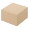 「クラフトボックス　G-2　外寸：167×167×108　1箱（50枚：10枚入×5袋）」の商品サムネイル画像1枚目
