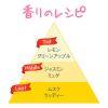 「フィアンセ ボディミスト ピュアシャンプー 50mL 井田ラボラトリーズ」の商品サムネイル画像4枚目