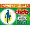 「小林製薬　グルコサミンコンドロイチン硫酸ヒアルロン酸 1袋（240粒）　サプリメント」の商品サムネイル画像4枚目