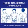 「ニコチネル パッチ20　14枚 Haleonジャパン ★控除★ 禁煙補助薬　〔STEP1〕【第1類医薬品】」の商品サムネイル画像6枚目