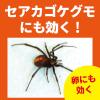 「【アウトレット】KINCHO クモ用ハンター 450mL 4987115521957 1本　クモの巣　除去　退治　スプレー　ジェット噴射　屋内外」の商品サムネイル画像6枚目